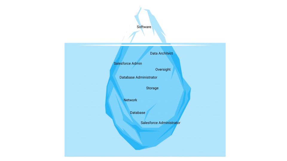 Iceberg shows the hidden costs of Salesforce backup and data management