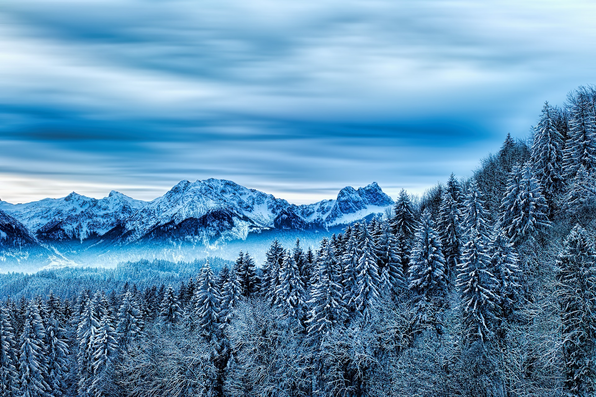 Photo of mountaintop with snow-covered trees.